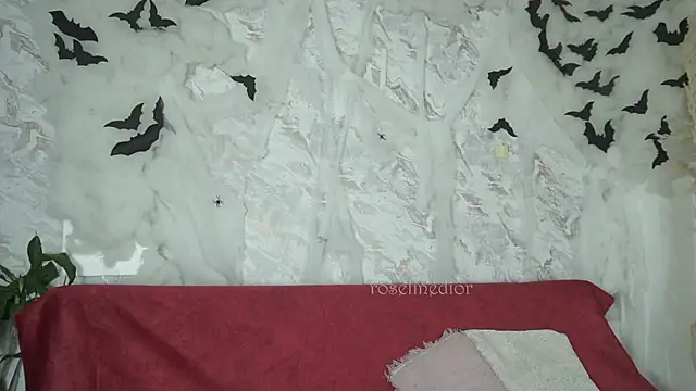 roselinedior online show from 10.28.25