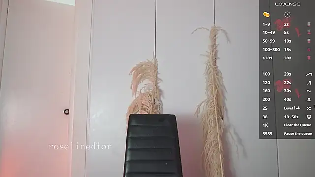 roselinedior online show from 01.15.26