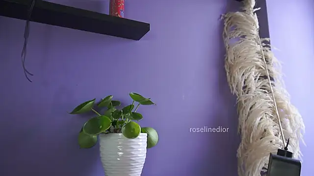 roselinedior online show from 05.20.26