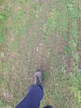 FreezingTie850 online show from 04.16.26