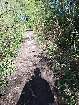 FreezingTie850 online show from 04.24.26