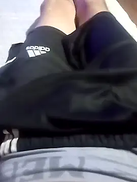 El22 1431 online show from 01.03.25