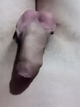 El22 1431 online show from 01.17.25