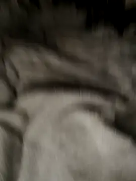 Snapshot of Tigerhill2023 chatting on 10.27.25 Tigerhill2023 online show from 10.27.25