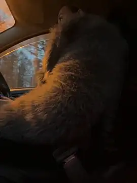 Snapshot of StasyWood chatting on 11.27.25 StasyWood online show from 11.27.25