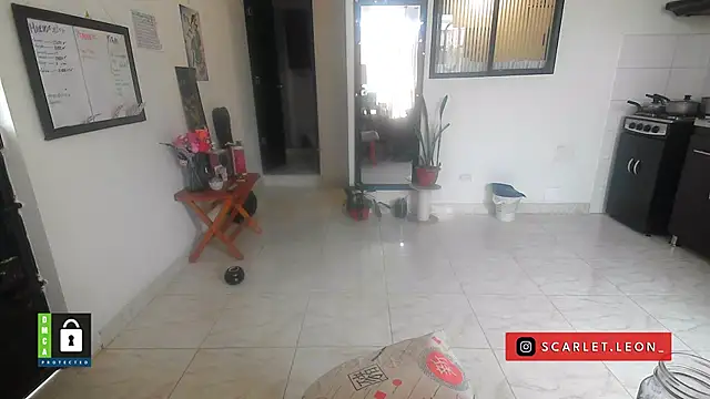 Scarletleon77 online show from 04.16.26