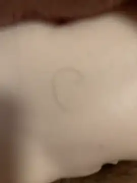 Beijing2000 online show from 11.08.25