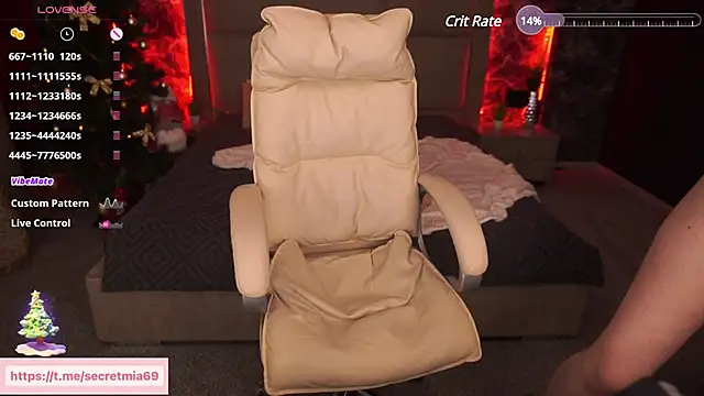 SecretDesireMe online show from 12.26.24