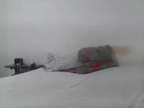 mariy  online show from 03.20.25