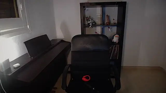 Windy butterfly online show from 11.07.25