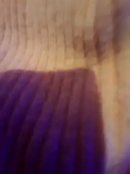 AsStraightAsARuler online show from 12.03.25