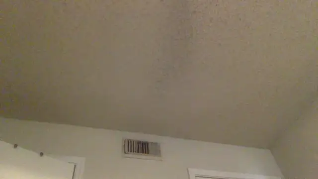 GForceSavage online show from 02.25.26