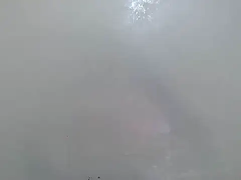 Snapshot of Rasta_tattooed chatting on 03.18.26 Rasta tattooed online show from 03.18.26