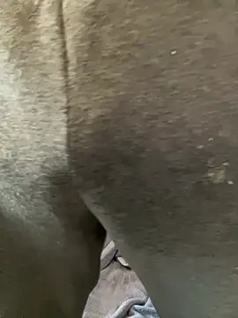 Enos3 online show from 04.16.26