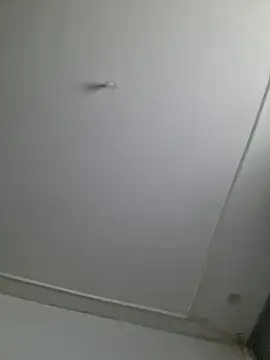 Maryan27 online show from 02.02.26