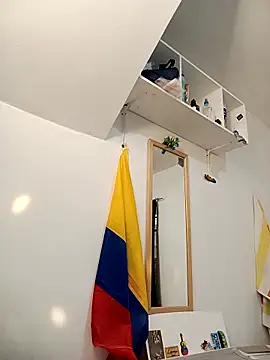 Snapshot of INDICO22 chatting on 12.01.25 INDICO22 online show from 12.01.25