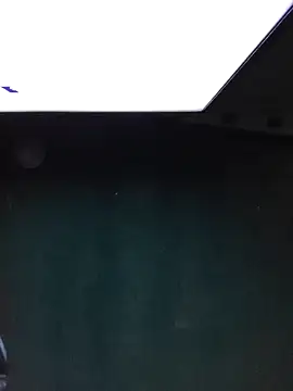 Snapshot of Rikipollav chatting on 11.06.25 Rikipollav online show from 11.06.25