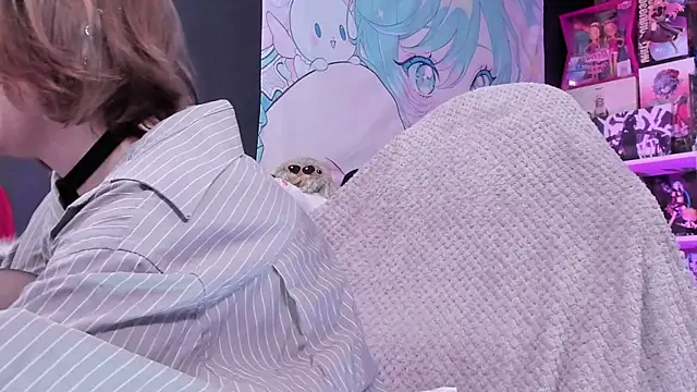 Supaidagaru online show from 04.14.26