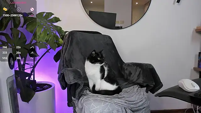 ariana fitl  online show from 01.28.25