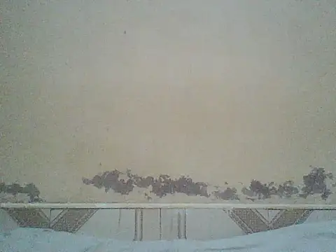 Naivegirrl online show from 07.03.26
