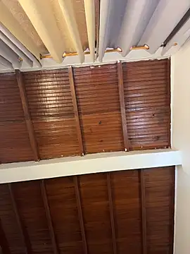 emiss  online show from 04.04.26