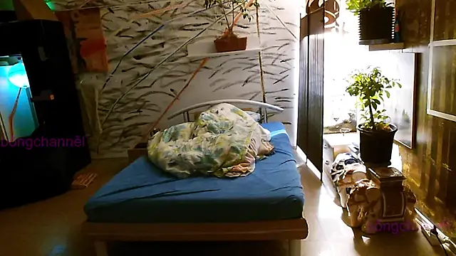 BongChannel online show from 01.02.25