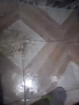 putosafado669 online show from 12.22.25