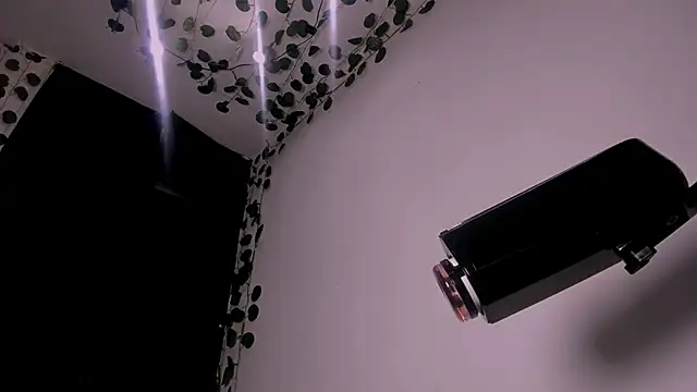 Young laroi online show from 02.19.25