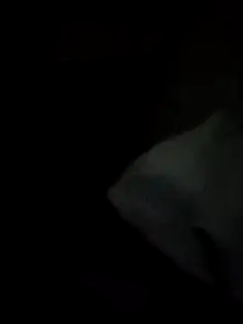 Snapshot of tessafontana37 chatting on 01.03.25 tessafontana37 online show from 01.03.25