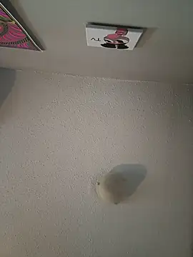 Your Paris online show from 02.09.25