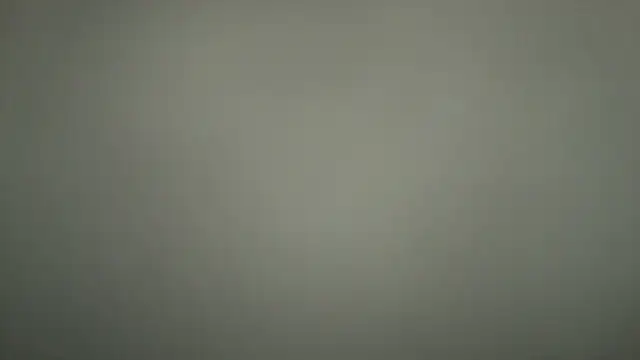 Snapshot of Loona-Lexxington chatting on 12.04.25 Loona-Lexxington online show from 12.04.25