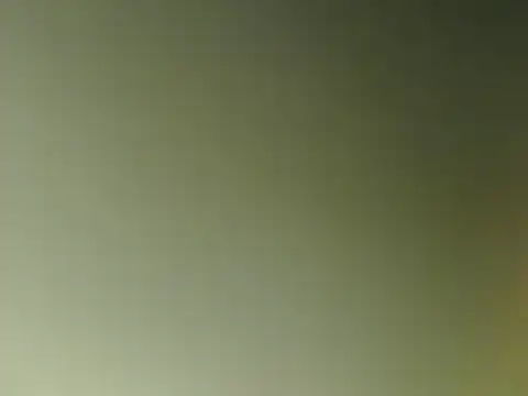 lovense test04 online show from 03.11.25