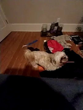 420getsmehorny online show from 12.16.24