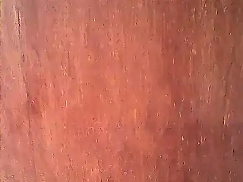 Snapshot of Dirtychubby29 chatting on 01.14.25 Dirtychubby29 online show from 01.14.25