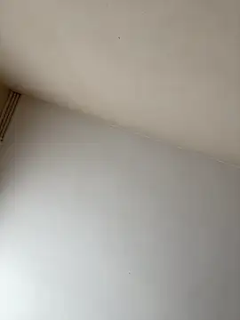 Snapshot of rpotktkkt chatting on 11.20.25 rpotktkkt online show from 11.20.25