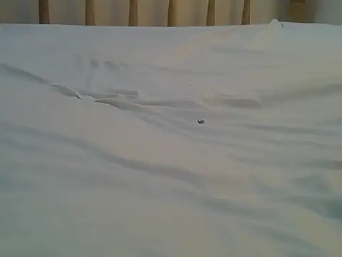 Mercydiva online show from 02.09.26