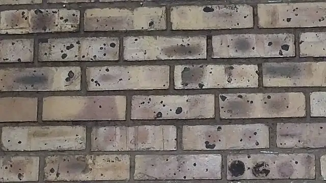 Astoria Moon online show from 03.22.25