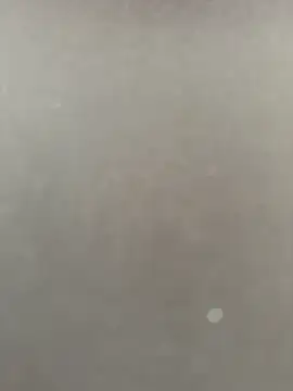 Snapshot of Syka0001 chatting on 02.14.26 Syka0001 online show from 02.14.26