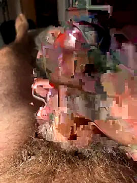 Snapshot of francoers chatting on 10.16.25 francoers online show from 10.16.25