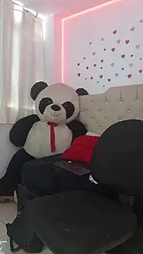 Snapshot of ameliefederline11 chatting on 02.19.26 ameliefederline11 online show from 02.19.26