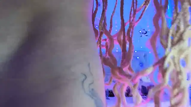 Snapshot of gabbiefoxthx chatting on 02.01.25 gabbiefoxthx online show from 02.01.25