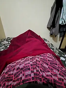 Snapshot of villagb12 chatting on 11.30.25 villagb12 online show from 11.30.25