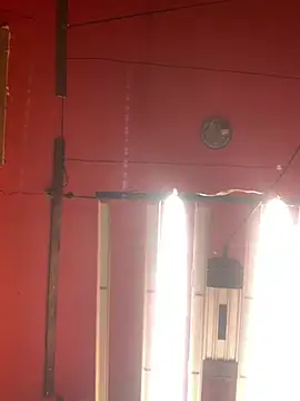 Bigtoyaddict online show from 02.11.26