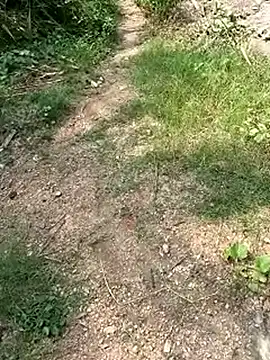 Snapshot of TamizhanKishwin7 chatting on 11.09.25 TamizhanKishwin7 online show from 11.09.25