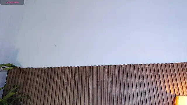 DilanJonnes  online show from 01.12.26