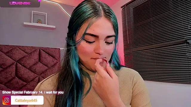 cattaleya    online show from 02.13.25