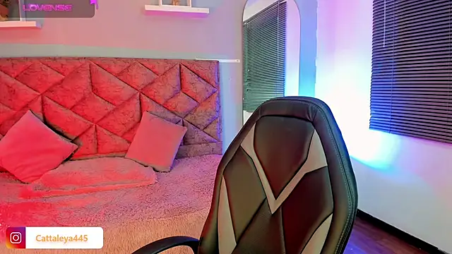 cattaleya    online show from 02.15.25