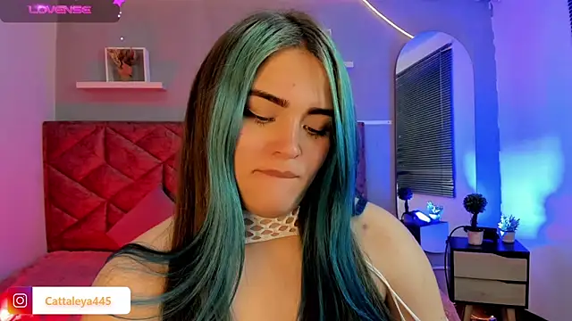 cattaleya    online show from 02.18.25