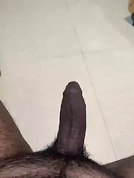 saiTeluguhyd online show from 01.25.25
