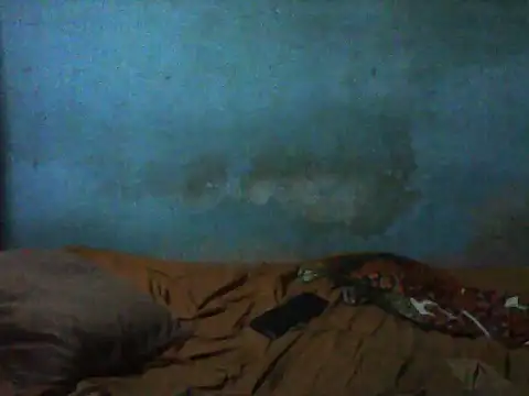 little  joy online show from 11.29.25